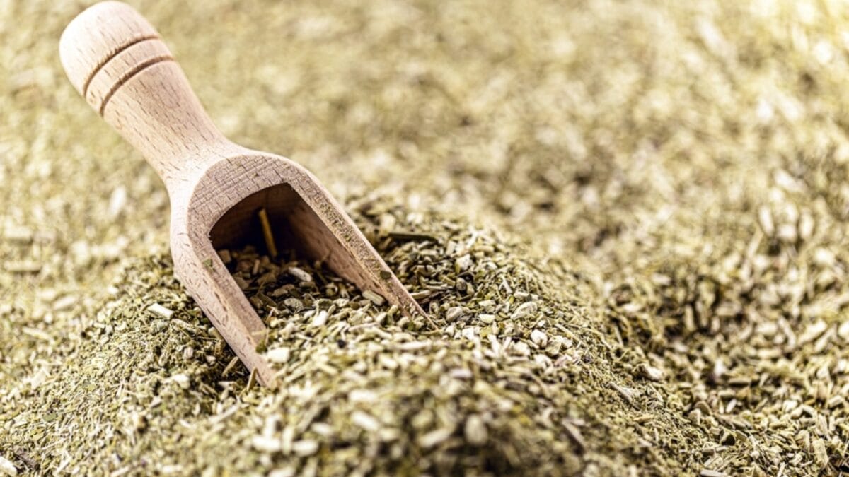 14 Energizing Coffee Alternatives to Jumpstart Your Day 3 14 Energizing Coffee Alternatives to Jumpstart Your Day - yerba mate ss2354846905