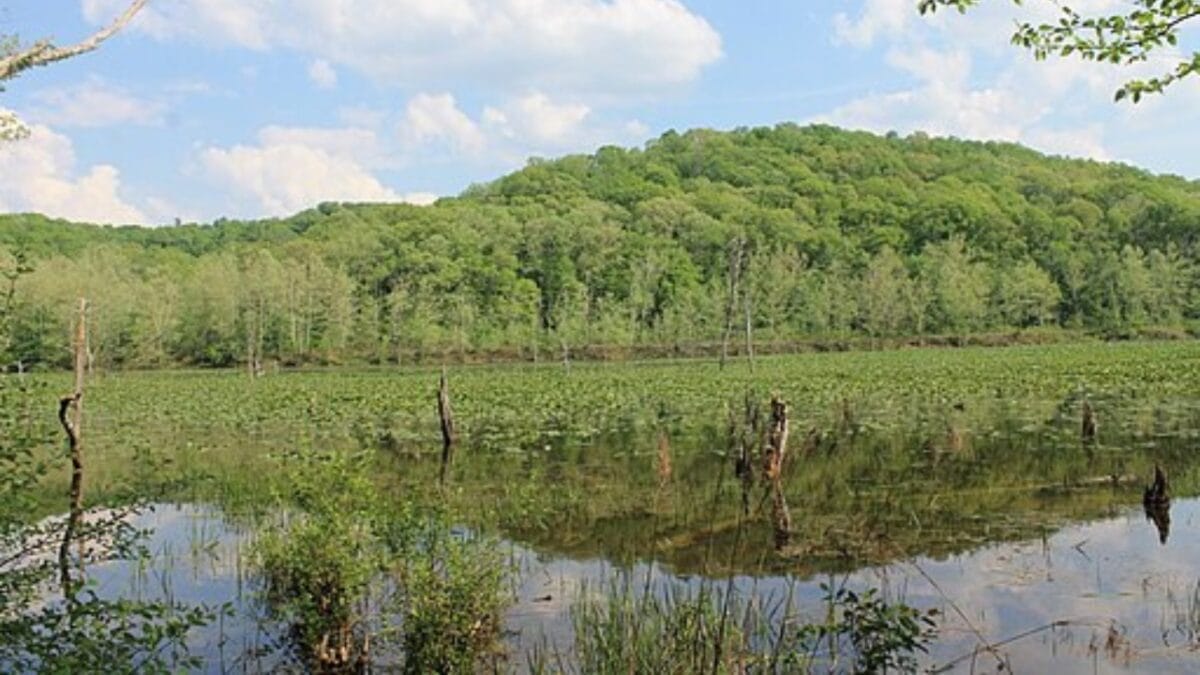 The Most Isolated, Off-the-Grid Spots in Each U.S. State You’ll Want to Visit 36 The Most Isolated, Off-the-Grid Spots in Each U.S. State You’ll Want to Visit - zaleski state forest wc