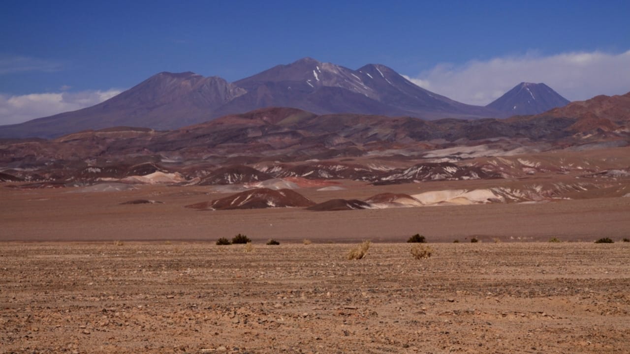 Flowers Bloom in the Driest Place on Earth After Ten Years 8 Flowers Bloom in the Driest Place on Earth After Ten Years - Atacama desert dp385860036