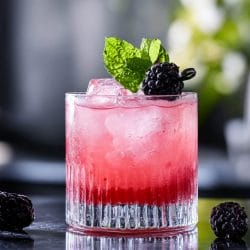 The Blackberry Paloma Mocktail Takes the Beverage Scene by Storm 4 The Blackberry Paloma Mocktail Takes the Beverage Scene by Storm - Blackberry Paloma Mocktail
