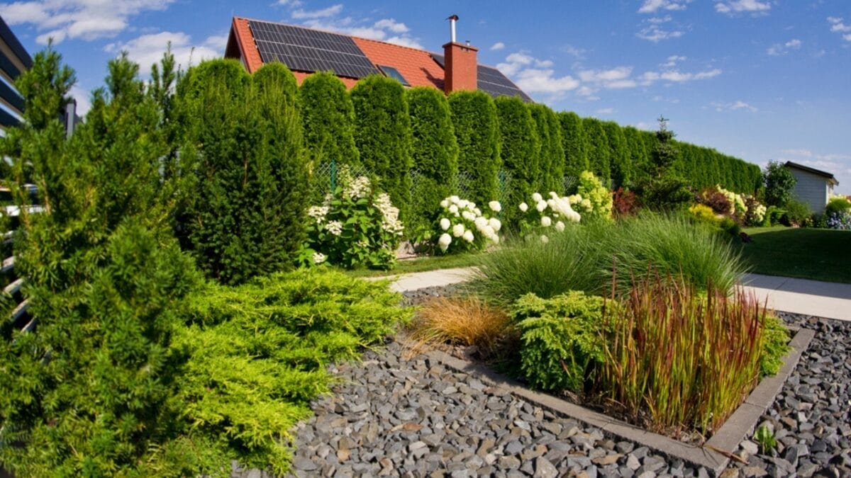 10 Landscaping Tricks Can Add Thousands to Your Home's Value 7 10 Landscaping Tricks Can Add Thousands to Your Home's Value - Create Privacy Landscapping dp490902292