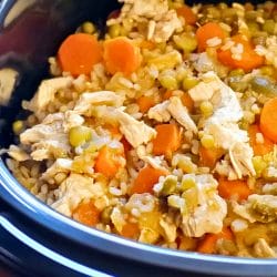 Ditch the Kibble: Easy Crockpot Chicken Homemade Dog Food Recipe 4 Ditch the Kibble: Easy Crockpot Chicken Homemade Dog Food Recipe - Crockpot Chicken Homemade Dog Food midia