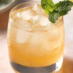 Ginger Mint Julep Recipe: A Refreshing Twist on a Classic Cocktail 4 Ginger Mint Julep Recipe: A Refreshing Twist on a Classic Cocktail - Ginger Mint Julep