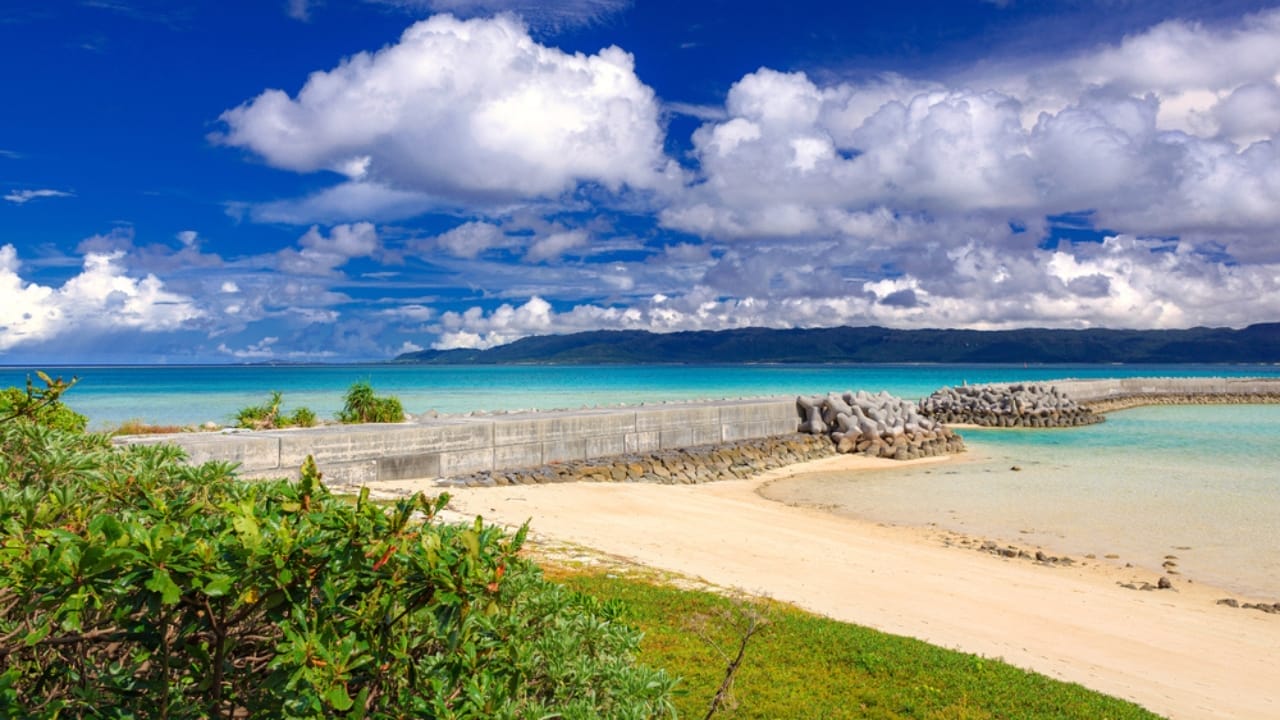 3 Beaches on Earth Where You Can Find Star-Shaped Sand 3 3 Beaches on Earth Where You Can Find Star-Shaped Sand - Hatoma Island ss1861878949