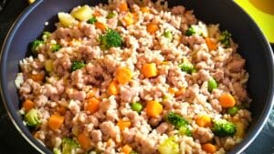 From Farm to Bowl: Homemade Dog Food Recipe with Locally Sourced Ingredients 1 From Farm to Bowl: Homemade Dog Food Recipe with Locally Sourced Ingredients - Homemade Dog Food midia