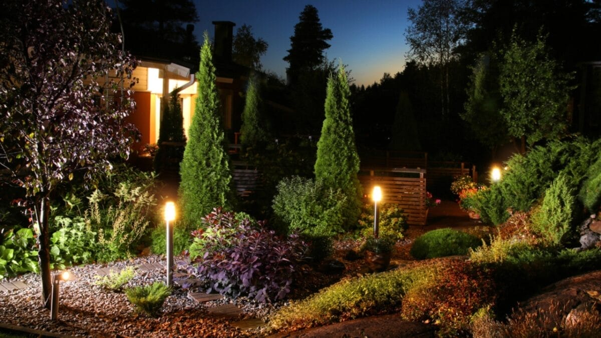 15 Evergreen Shrubs That Redefine Year-Round Curb Appeal - Invest in Professional Landscape Lighting dp82396888