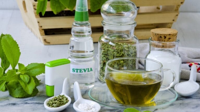 How to Grow & Extract Stevia at Home, Nature's Zero-Calorie Sweetener 10 How to Grow & Extract Stevia at Home, Nature's Zero-Calorie Sweetener - Sweetener stevia natural dp85592276