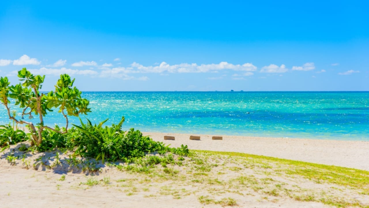 3 Beaches on Earth Where You Can Find Star-Shaped Sand 4 3 Beaches on Earth Where You Can Find Star-Shaped Sand - Taketomi Island ss1134890528