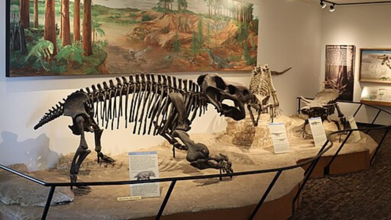 Ancient Predator Found in Nevada Rewrites Triassic Coastal History - Triassic period treasure wc