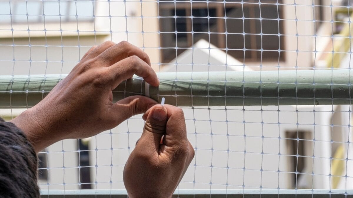 15 Simple Ways to Prevent Birds from Nesting Around Your House 3 15 Simple Ways to Prevent Birds from Nesting Around Your House - Use Bird Netting ss2310942361