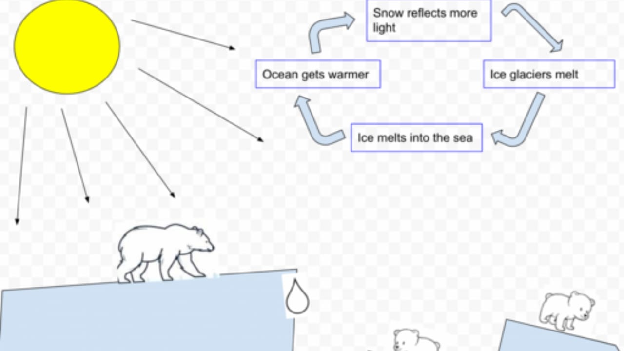 The Climate Model Error That Could Change Everything 3 The Climate Model Error That Could Change Everything - albedo effect wc