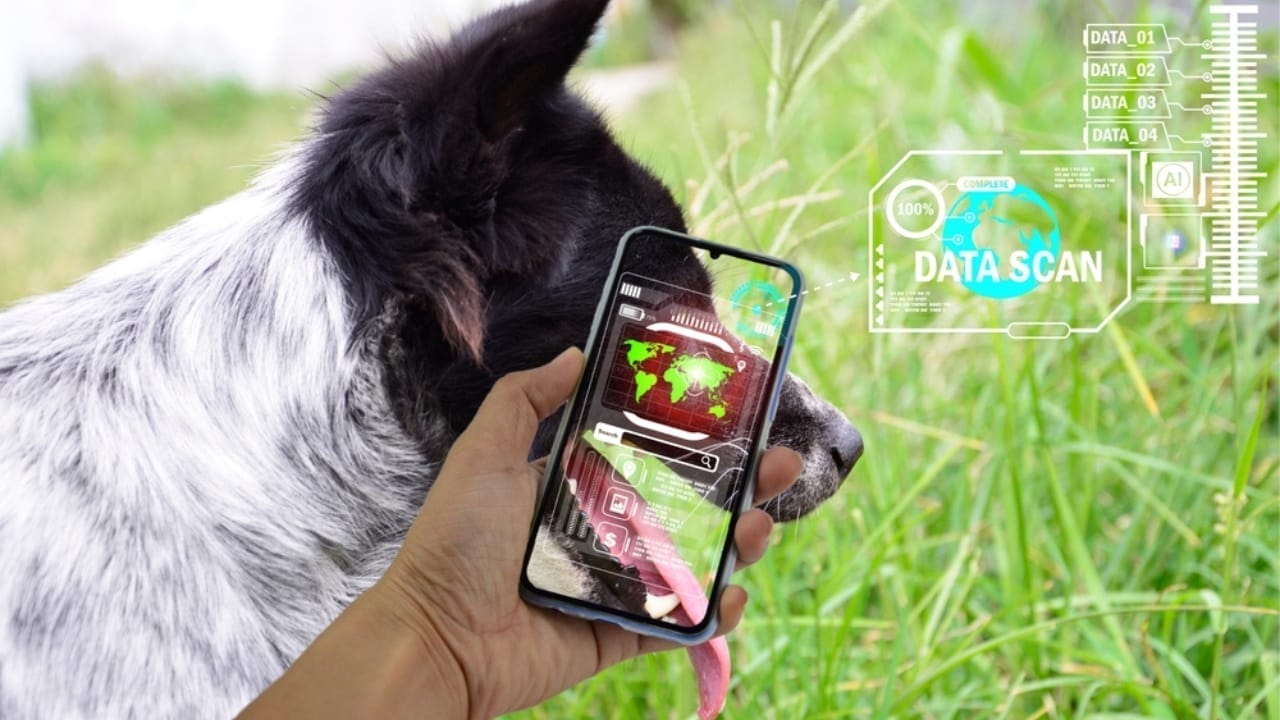 This AI Will Change How You Talk to Your Dog 3 This AI Will Change How You Talk to Your Dog - animal ai ss2205652479