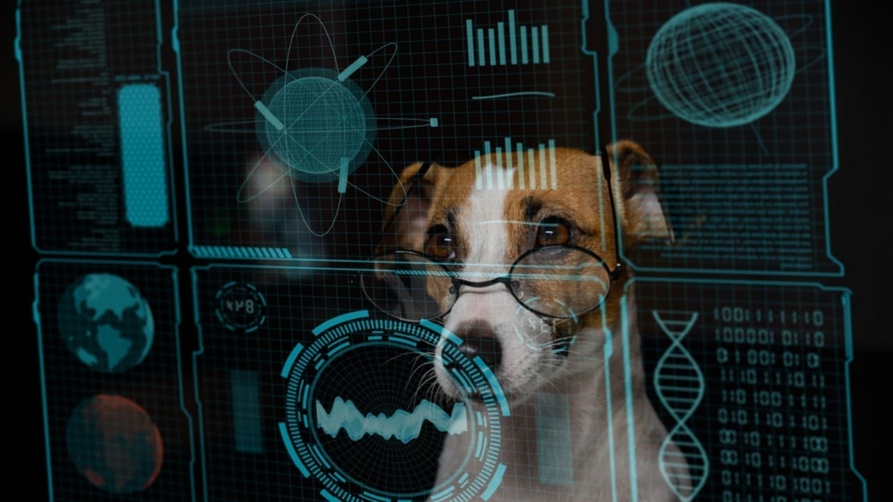 This AI Will Change How You Talk to Your Dog 2 This AI Will Change How You Talk to Your Dog - animal vocal ss2288378239