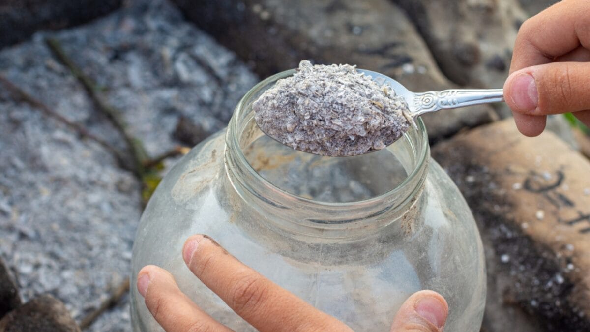 25 Useful Ways to Put Wood Ash to Work 21 25 Useful Ways to Put Wood Ash to Work - ash wood glass ss1845695905