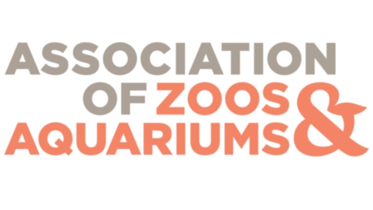 A Virus Could Be the Key to Saving the World's Amphibians from Extinction 6 A Virus Could Be the Key to Saving the World's Amphibians from Extinction - associaion of zoos and aquarium wc