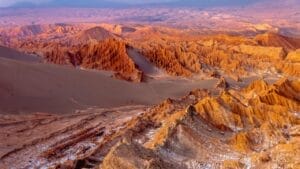 Flowers Bloom in the Driest Place on Earth After Ten Years 1 Flowers Bloom in the Driest Place on Earth After Ten Years - atacama desert ss 2272096637