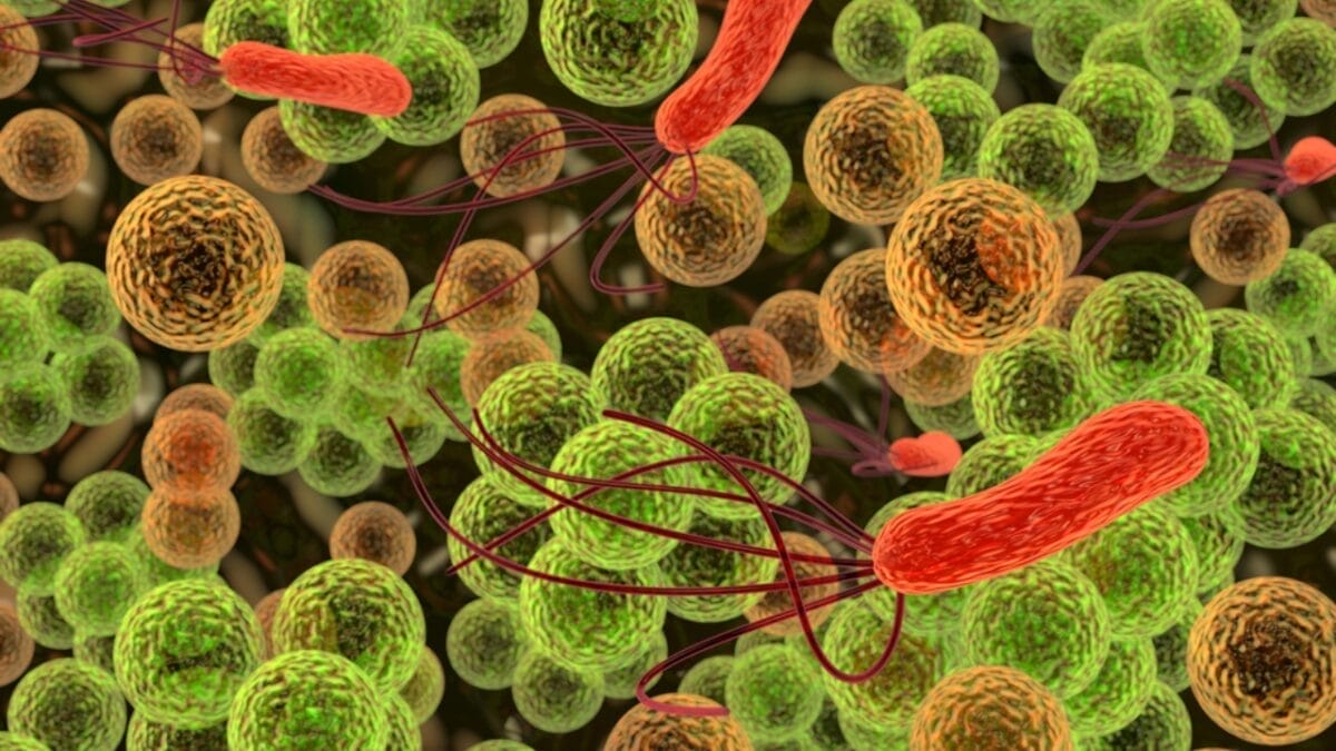 The Dirty Truth: What Happens If You Don’t Wash Your Water Bottle Regularly - bacteria dp20157893