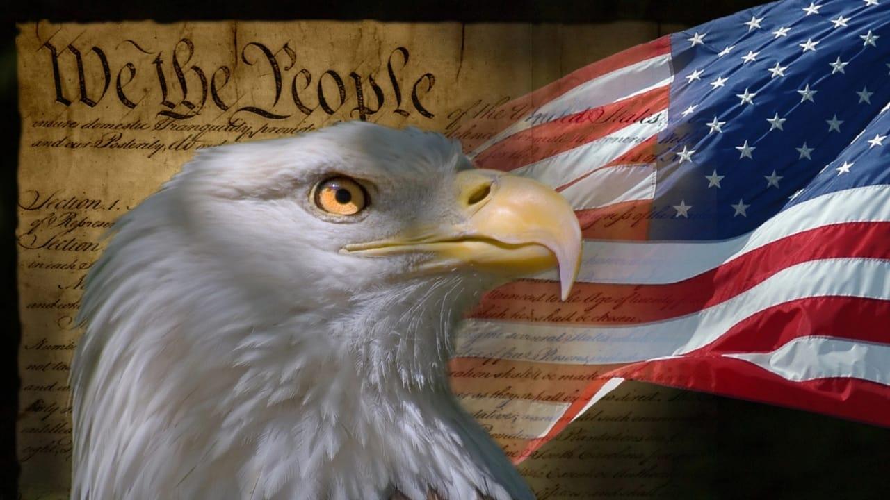 The Bald Eagle Could Soon Officially Represent America 5 The Bald Eagle Could Soon Officially Represent America - bald eagle american flag dp16860697