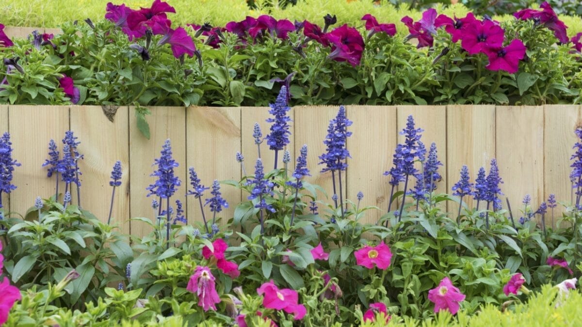 Landscaping Pros Swear by the Rule of Three—Here’s How to Apply It to Your Garden - barrier in garden dp253151202