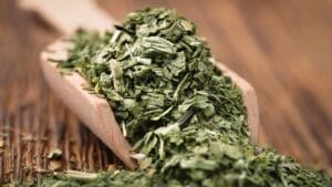 6 Effortless Ways to Dry Basil from Your Garden 1 6 Effortless Ways to Dry Basil from Your Garden - basil leaves ss2110824683