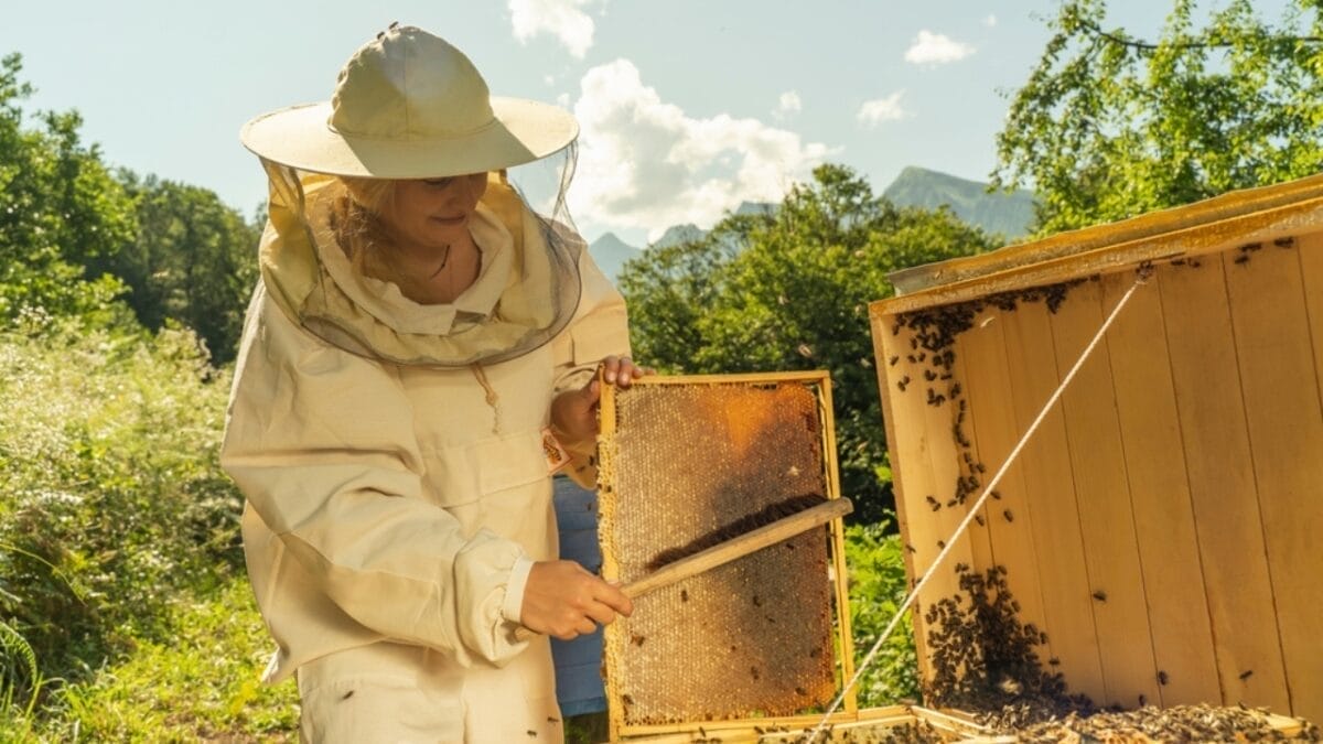 Beekeeping Became a Wartime Lifeline During WWII 3 Beekeeping Became a Wartime Lifeline During WWII - beekeeping ss2102639545