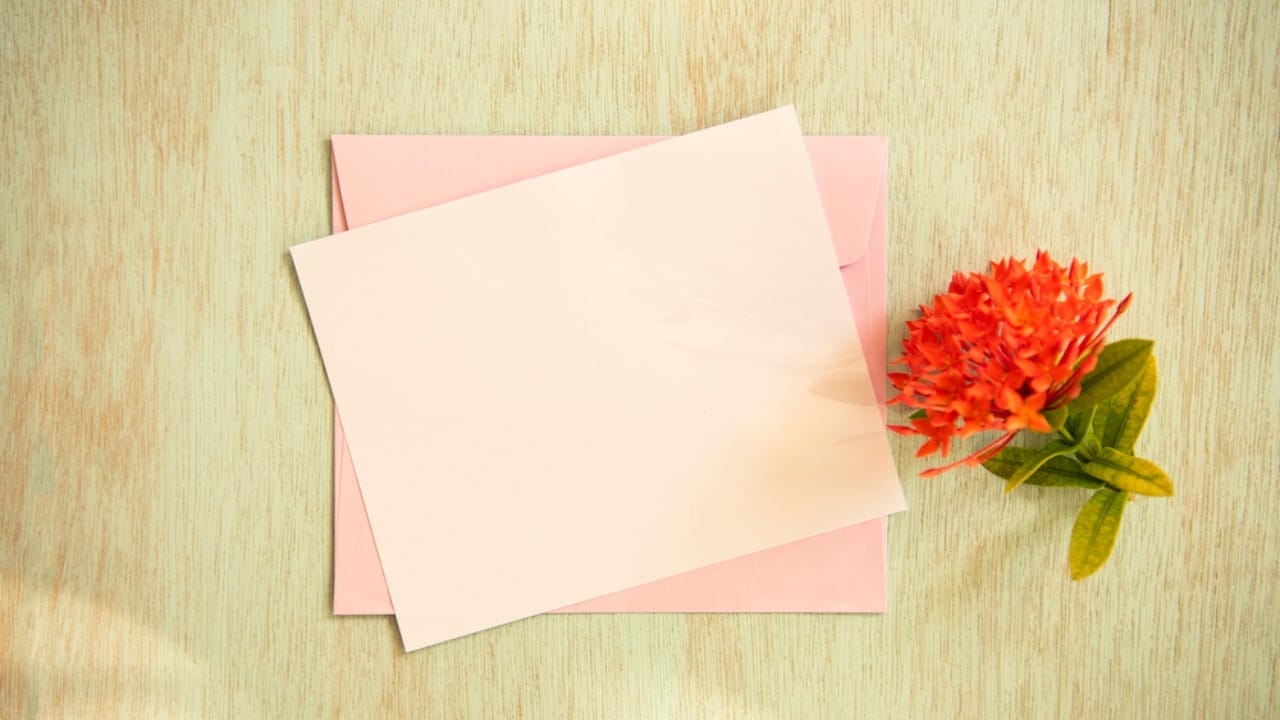 12 Creative Uses for Bee Balm 11 12 Creative Uses for Bee Balm - blank white card with flower dp218280024