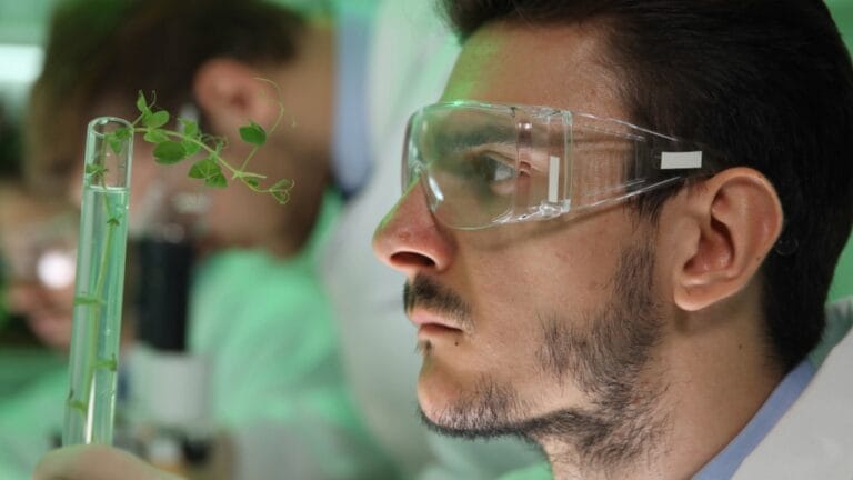 Scientists are Bringing Back the Mighty American Chestnut - botanist lab scientist ss1054191482