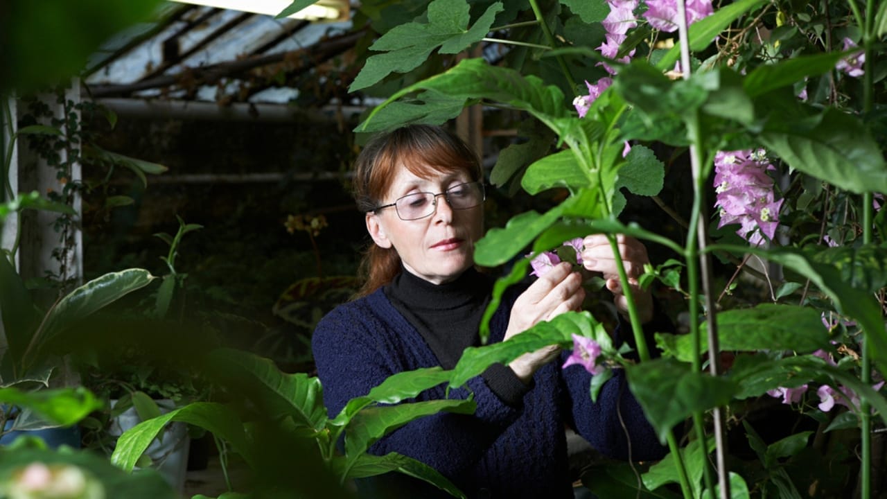 Botanists Take a Stand to Remove Racism from Plant Names - botanist woman dp33890323