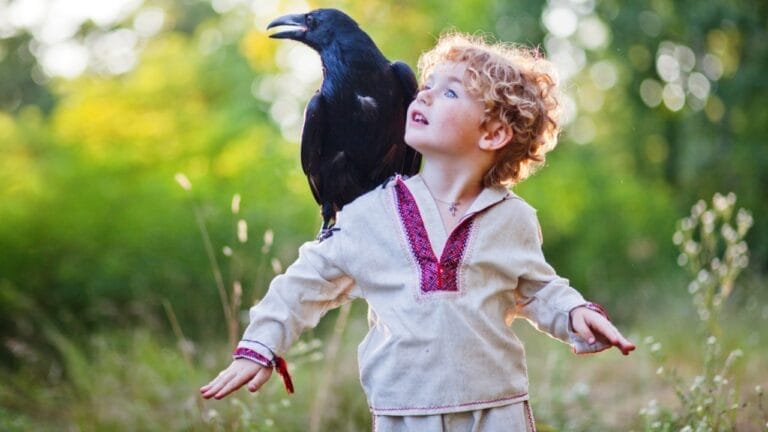 10 Reasons Why It's Illegal to Own a Crow as a Pet - boy and crow ss436348393