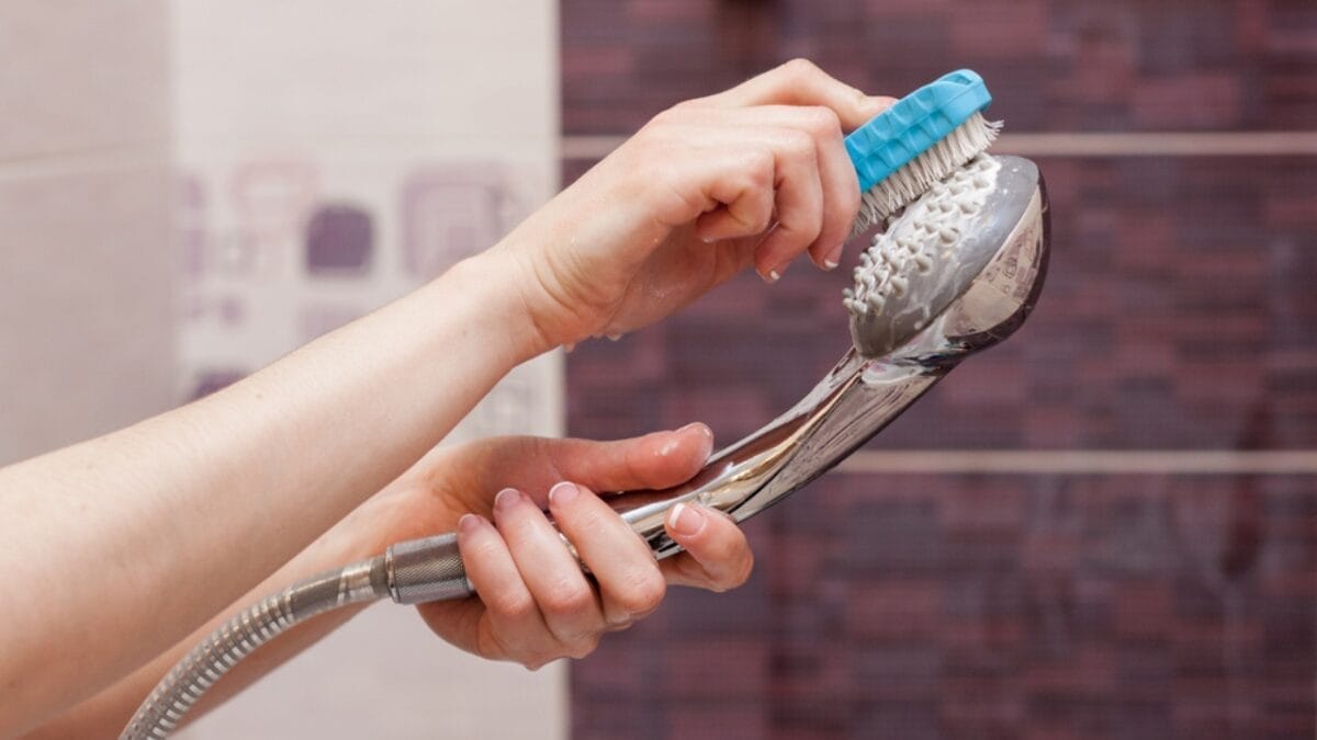 10 Easy Steps to a Sparkling Clean Shower Head 6 10 Easy Steps to a Sparkling Clean Shower Head - brushing ss676412485