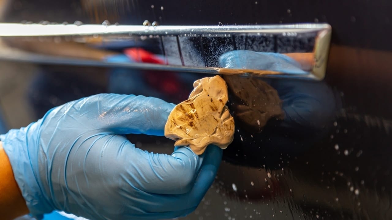 18 Pro-Level Car Cleaning Techniques for a Show-Stopping Vehicle 3 18 Pro-Level Car Cleaning Techniques for a Show-Stopping Vehicle - car clay bar ss2083528789