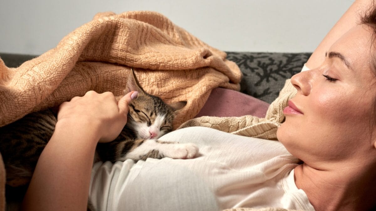 10 Comforting Reasons Cats Always Sleep Next to Their Humans - cat sleeping in bed dp287830358