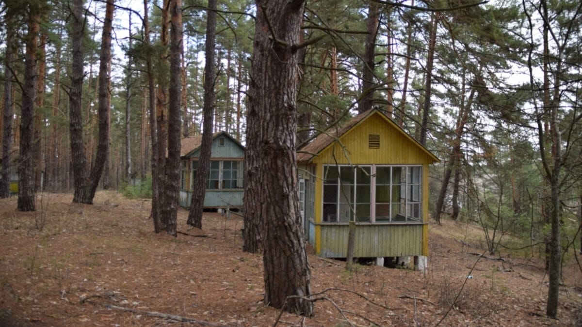 Chernobyl's Songbirds Expose the Effects of Nuclear Radiation on Animals, According to Study 4 Chernobyl's Songbirds Expose the Effects of Nuclear Radiation on Animals, According to Study - chernobyl post apocalyptic ss2429119665