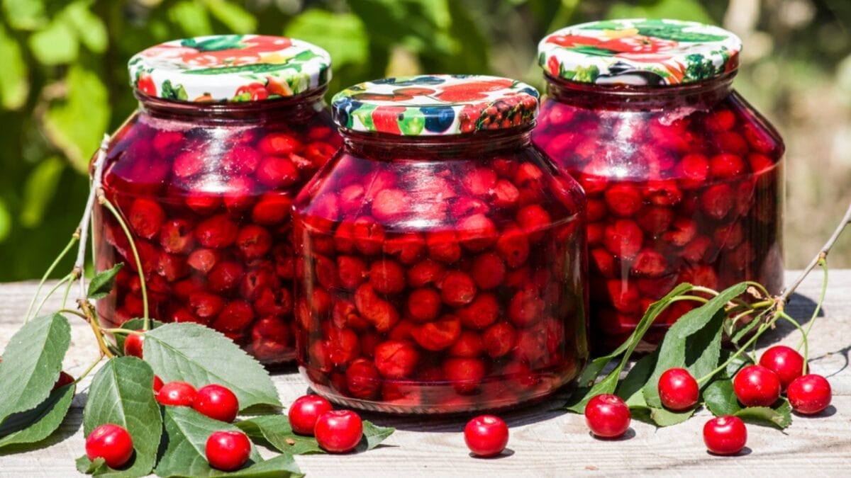 15 Foods You Can Easily Canned at Home Using the Boiling Water Method 8 15 Foods You Can Easily Canned at Home Using the Boiling Water Method - cherry dp117309144