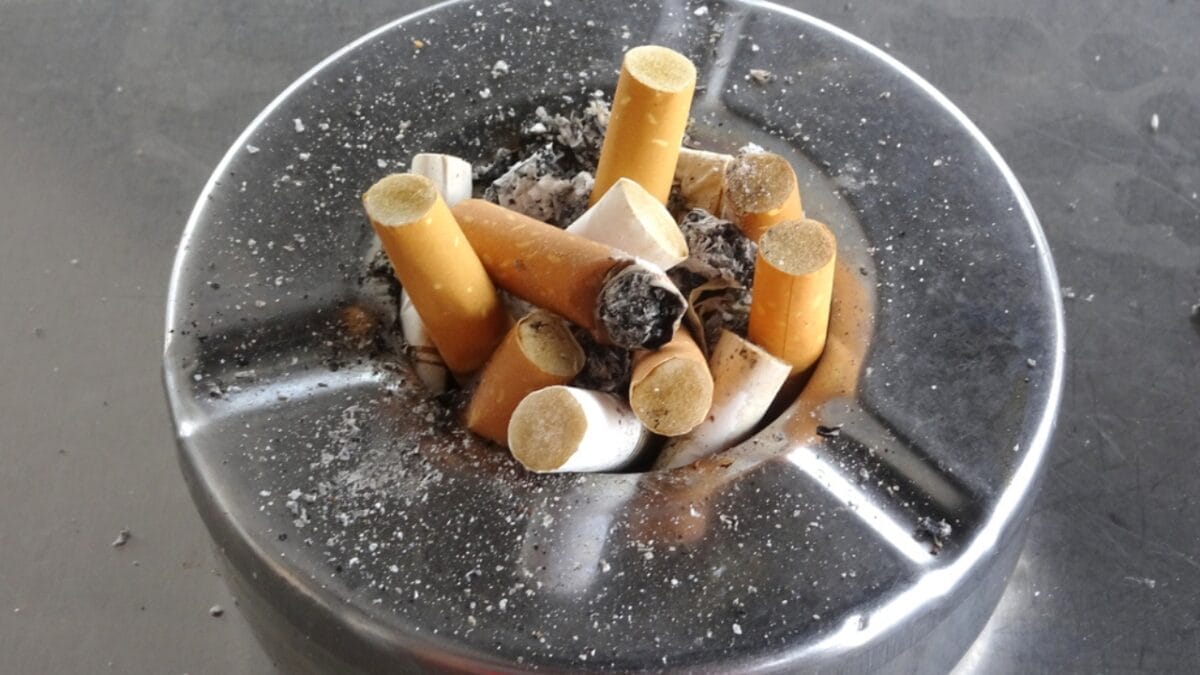 15 Things You Should Never Put Down Your Kitchen Drain 15 15 Things You Should Never Put Down Your Kitchen Drain - cigarette butt dp440519724