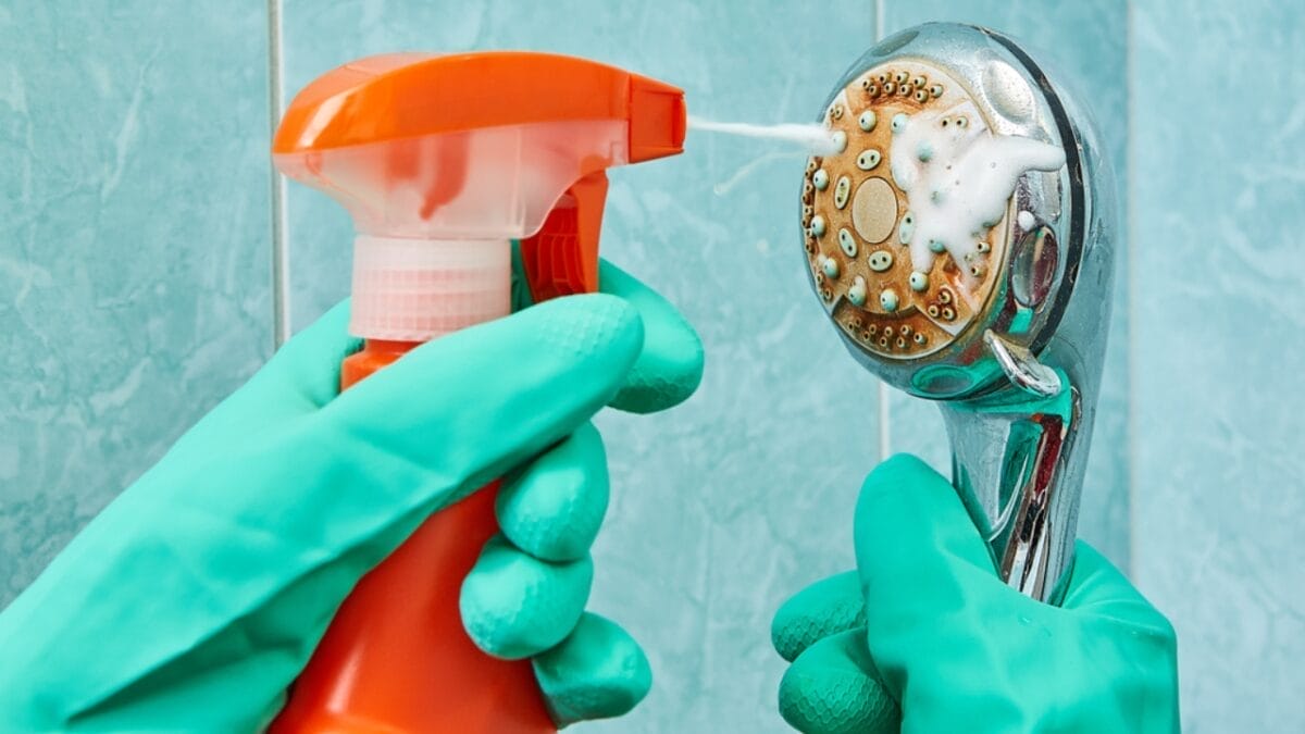 Homeowners, Don’t Skip These 15 Yearly Tasks to Save Serious Money Over Time - cleaning shower ss1055908928