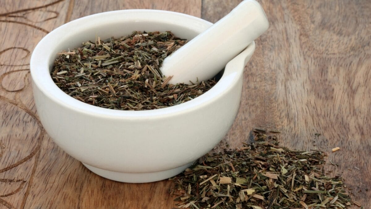 Cleavers: The Medicinal Powerhouse Hiding Among Your Weeds 3 Cleavers: The Medicinal Powerhouse Hiding Among Your Weeds - cleavers leaves herb dp182779764