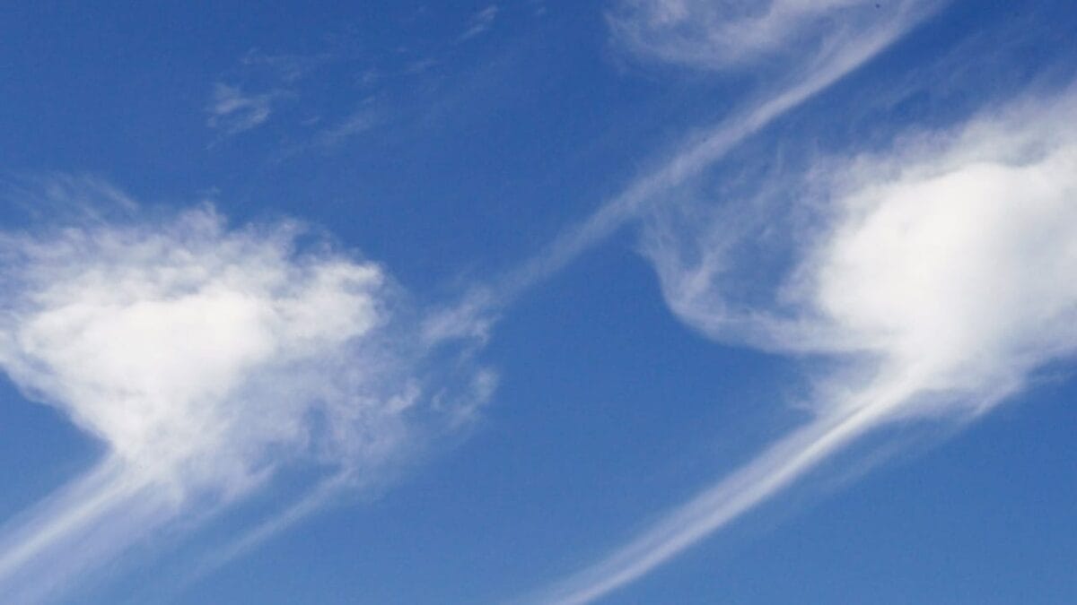 Butterflies Achieve Record-Breaking 2,600-Mile Flight Over the Atlantic 5 Butterflies Achieve Record-Breaking 2,600-Mile Flight Over the Atlantic - clouds dp92606470