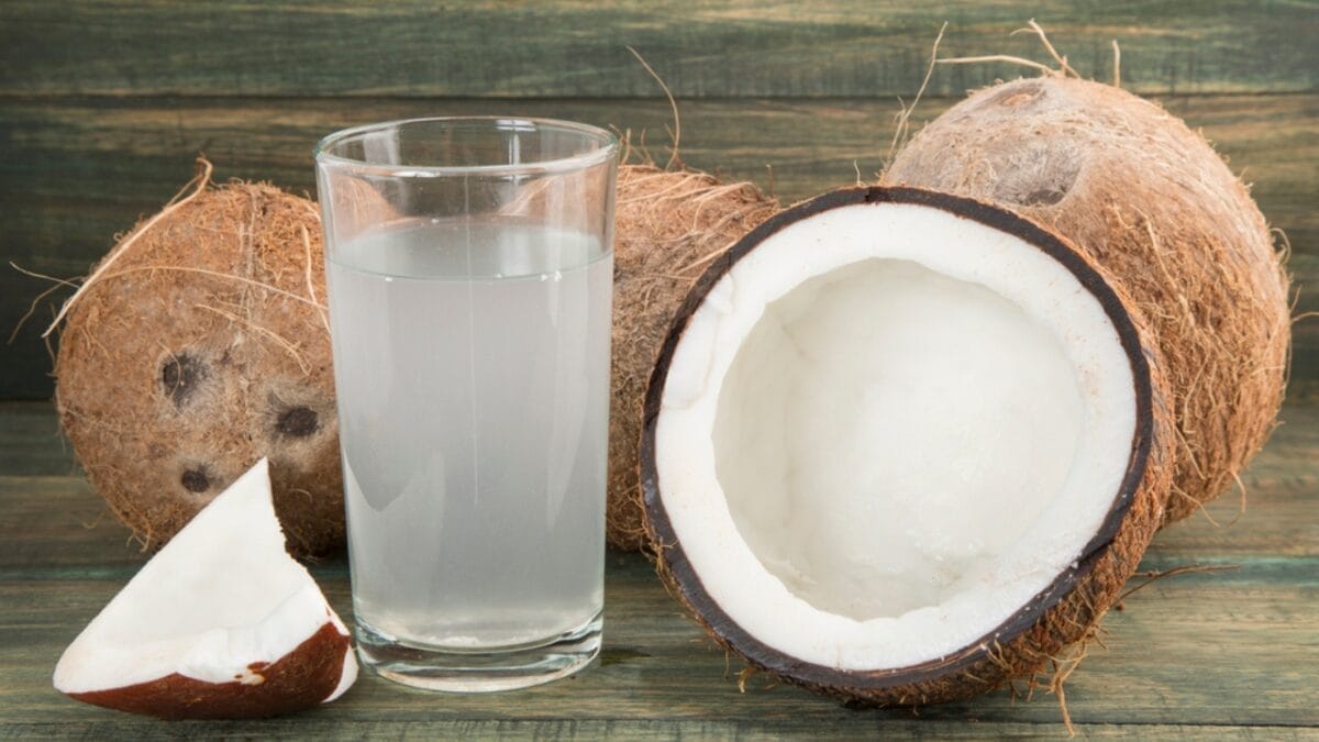 16 Foods That Can Harm or Kill Your Cat—Keep Them Away 14 16 Foods That Can Harm or Kill Your Cat—Keep Them Away - coconut water dp139632894