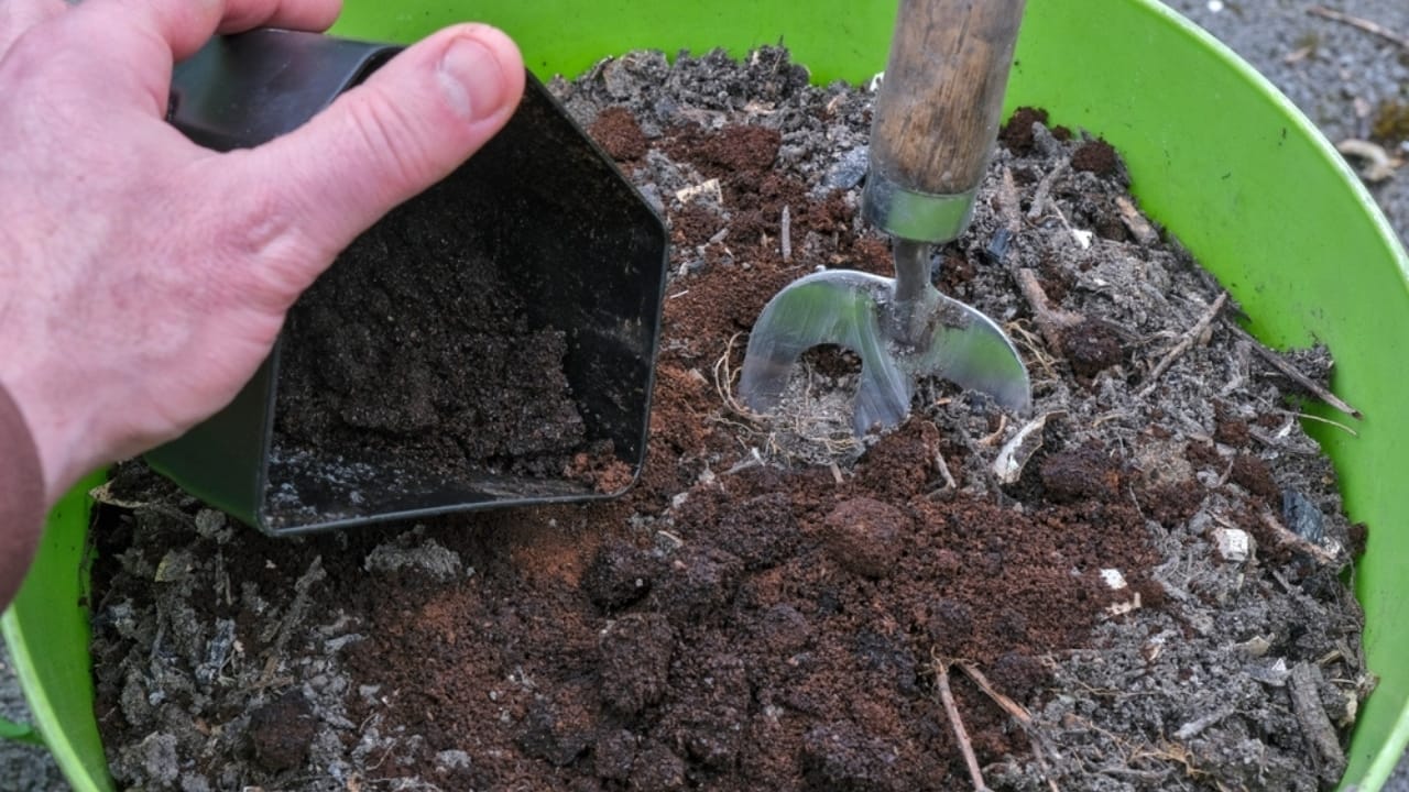 Put These 8 Things in Your Tomato Planting Hole For Unbeatable Harvests 7 Put These 8 Things in Your Tomato Planting Hole For Unbeatable Harvests - coffee grounds pot ss2450446157