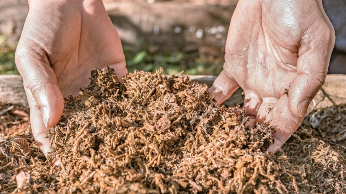 25 Useful Ways to Put Wood Ash to Work 20 25 Useful Ways to Put Wood Ash to Work - compost tea ss2061473114