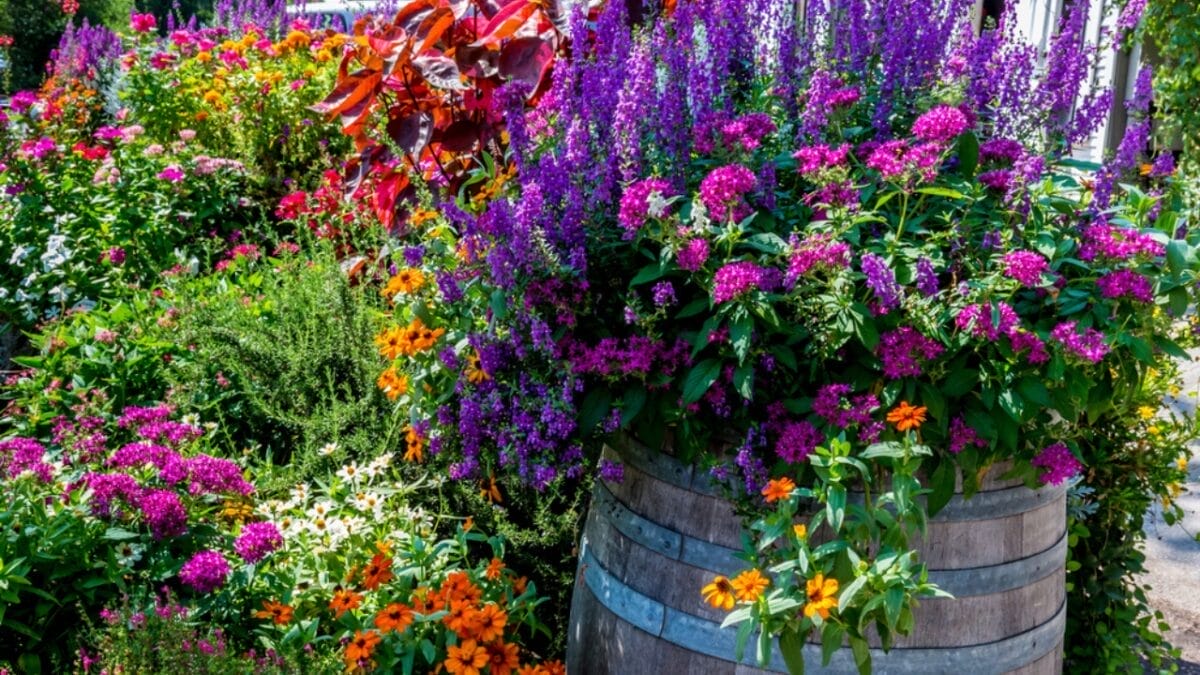 How to Grow More with Less: 12 Permaculture Principles for a Low-Maintenance Garden 11 How to Grow More with Less: 12 Permaculture Principles for a Low-Maintenance Garden - container garden ss396674656