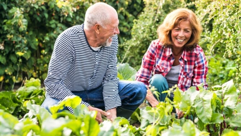 15 Plants Our Grandparents Ate to Survive the Great Depression - couple in yard ss1054475345
