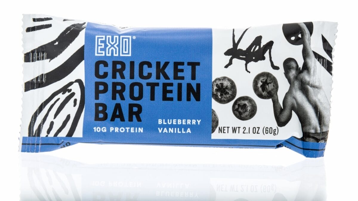 Edible Insects are Gaining Buzz: 7 Things You Should Know 3 Edible Insects are Gaining Buzz: 7 Things You Should Know - cricket protein bar ss1475274128