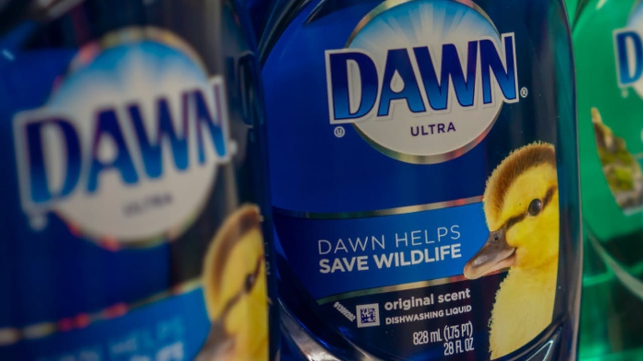 DIY Mole Control: Does Dawn Dish Soap Really Work? 7 DIY Mole Control: Does Dawn Dish Soap Really Work? - dawn dish soap ss1292208514