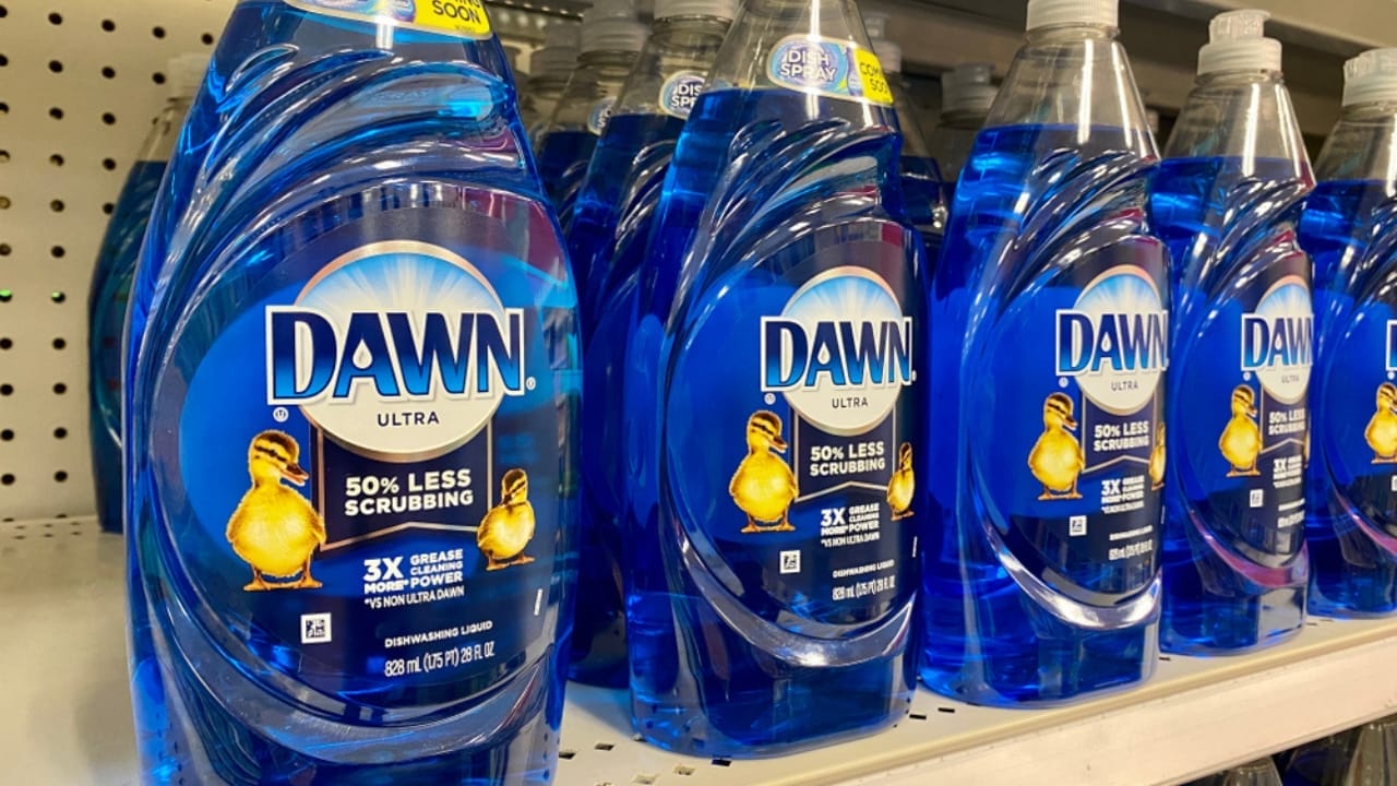DIY Mole Control: Does Dawn Dish Soap Really Work? 5 DIY Mole Control: Does Dawn Dish Soap Really Work? - dawn dish soap ss1634582629