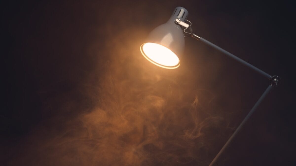 15 Appliances to Unplug Before Vacation to Prevent Surges & Vampire Energy Drains 13 15 Appliances to Unplug Before Vacation to Prevent Surges & Vampire Energy Drains - desktop lamp ss2107401899