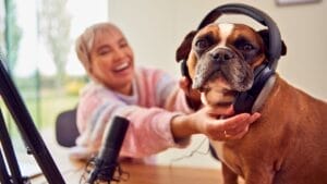 This AI Will Change How You Talk to Your Dog 1 This AI Will Change How You Talk to Your Dog - dog microphone ss2224209799