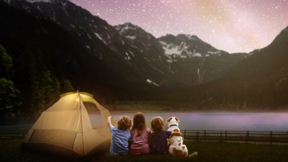 20 Unforgettable Experiences for Your Dog's Bucket List 6 20 Unforgettable Experiences for Your Dog's Bucket List - dog camping ss2179493243