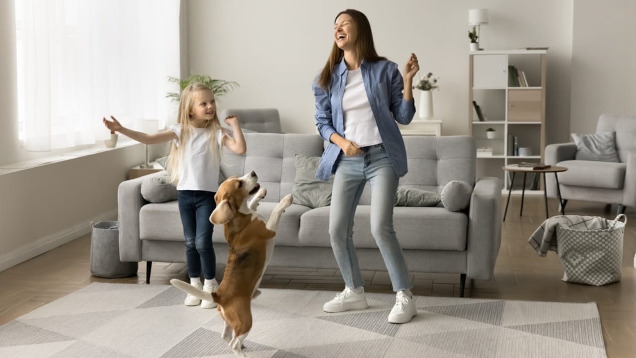 35 Fun Ways to Keep Your Dog Entertained Indoors - dog dance ss2415509121